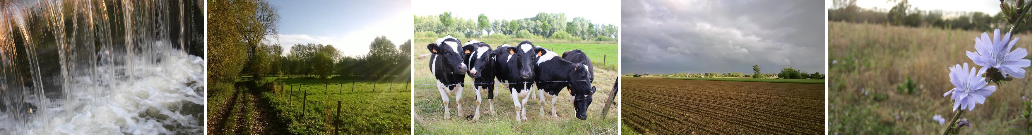 Photo Collection act-planned